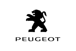 baterias-peugeot-1.png